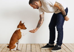 addestrare un cucciolo