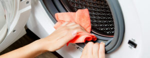 lavare i vari elementi della lavatrice per non farla puzzare o rilasciare cattivi odori